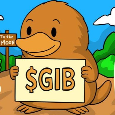 GIB 13