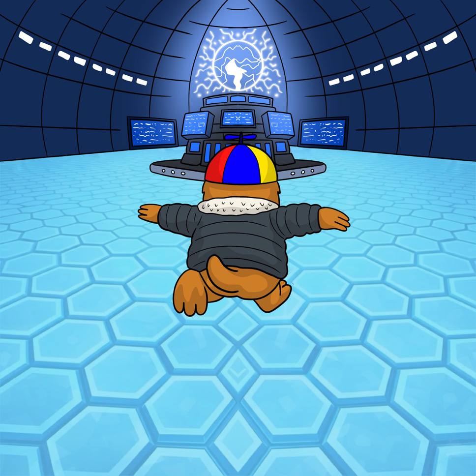 GIB 5